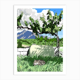 Cat In The Vineyard Art Print