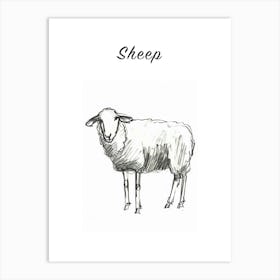 B&W Sheep Poster Art Print