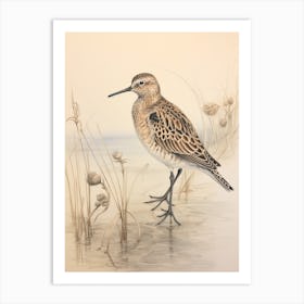 Vintage Bird Drawing Dunlin 2 Art Print