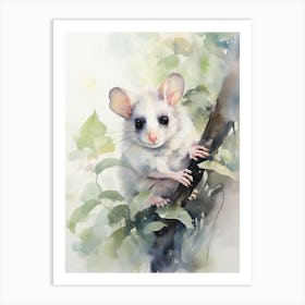 Light Watercolor Painting Of A Western Pygmy Possum 1 Art Print