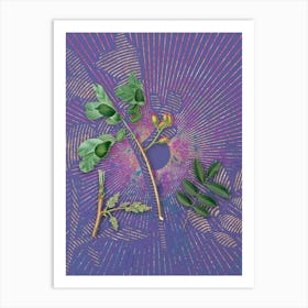 Vintage Pistachio Botanical Illustration on Veri Peri n.0234 Art Print