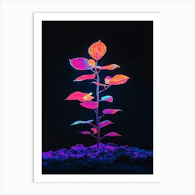 Plant In The Dark 15 Art Print