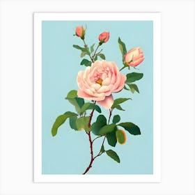 Pink Roses 5 Art Print