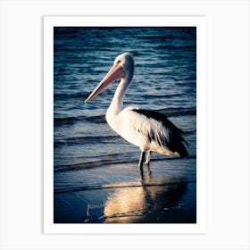 The Pelican Art Print