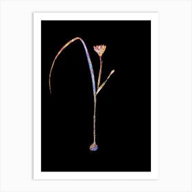 Stained Glass Cape Tulip Mosaic Botanical Illustration on Black n.0158 Art Print