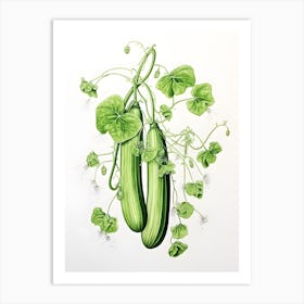Cucumber plant Art Print