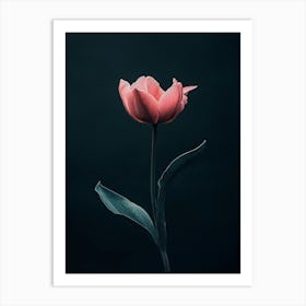 Single Pink Tulip 1 Art Print