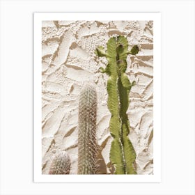Cactus Plants Art Print