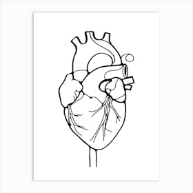 Heart Anatomy Minimalist Line Art Monoline Illustration Art Print