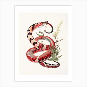 Arizona Coral Snake Vintage Art Print