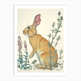 Flemish Giant Blockprint Rabbit Illustration 1 Art Print