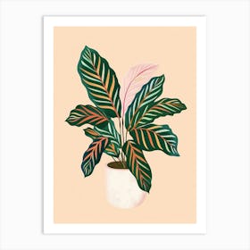 Calathea Plant Minimalist Illustration 7 Art Print
