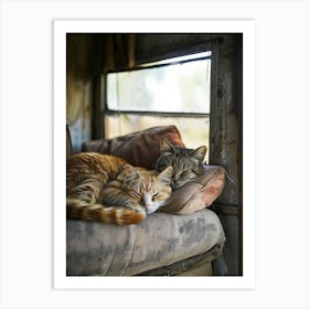 Two Cats Sleeping On A Couch Art Print