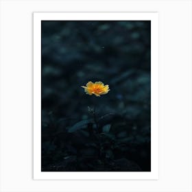 Dark Flower 35 Art Print