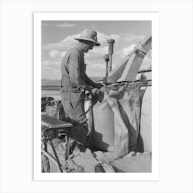 Mormon Farmer Who Lives In Snowville, Utah And Who Farms In Oneida County, Idaho, Bagging Wheat By Russell Lee Art Print