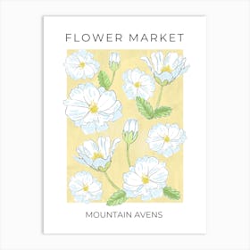 Flower Market Mountain Avens - white flowers on yellow Art Print