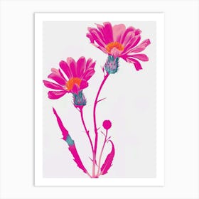 Hot Pink Gaillardia Art Print