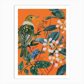 Spring Birds Baldpate 1 Art Print