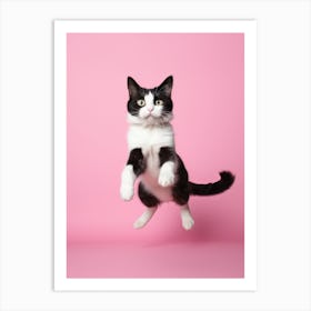 Cat Jumping On Pink Background Art Print