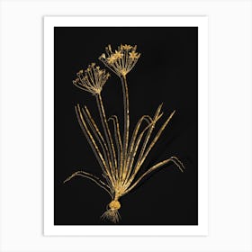 Vintage Allium Straitum Botanical in Gold on Black n.0324 Art Print