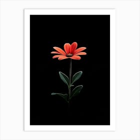 Single Flower On Black Background Art Print