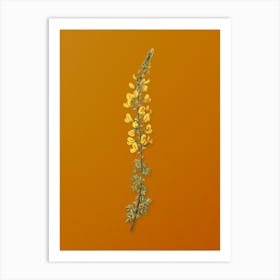 Vintage Adenocarpus Botanical on Sunset Orange n.0220 Art Print
