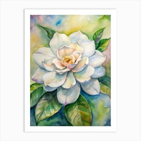 White Magnolia 1 Art Print