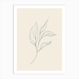 Line Drawing Of A Leaf Art Print