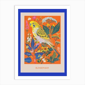 Spring Birds Poster Budgerigar 2 Art Print
