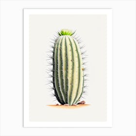 Stenocactus Cactus Marker Art 1 Art Print