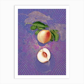 Vintage Peach Botanical Illustration on Veri Peri n.0314 Art Print