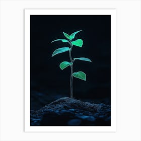 Small Green Plant On Dark Background 2 Art Print