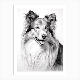 Shetland Sheepdog Dog, Line Drawing 2 Art Print