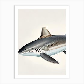 Broadnose Sevengill Shark Vintage Art Print