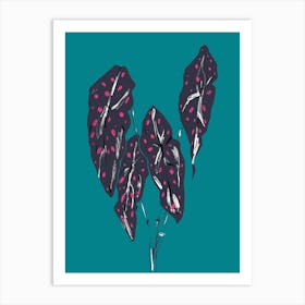 The Plant Series Begonia Maculata Blue Art Print