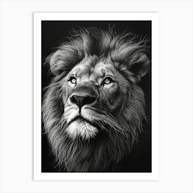 Barbary Lion Charcoal Drawing Portrait Close Up 2 Art Print