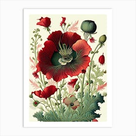 Poppy 2 Floral Botanical Vintage Poster Flower Art Print