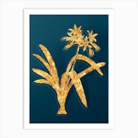 Vintage Pancratium Illyricum Botanical in Gold on Teal Blue n.0067 Art Print