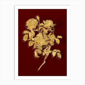 Vintage Rose of Love Bloom Botanical in Gold on Red n.0241 Art Print