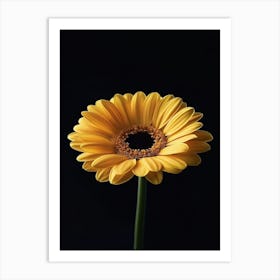 Yellow Gerbera Art Print