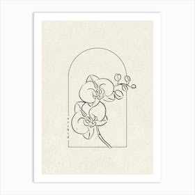 Orchid Flower Art Print