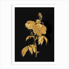 Vintage Purple Roses Botanical in Gold on Black n.0269 Art Print
