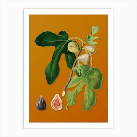 Vintage Figs Botanical on Sunset Orange n.0754 Art Print