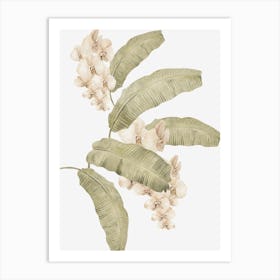 White Flowers Art Print