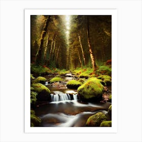 Stream In The Forest 4 Art Print