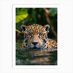 Jaguar Swimming In Water Art Print
