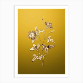 Gold Botanical Indica Stelligera Rose on Mango Yellow n.3976 Art Print
