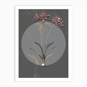 Vintage Botanical Nerine on Circle Gray on Gray n.0032 Art Print