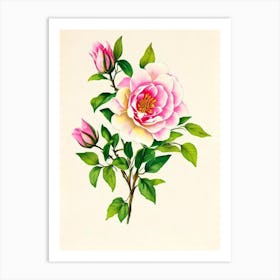 Jasmine Vintage Flowers Flower Art Print