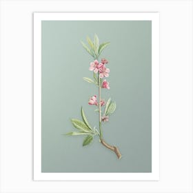 Vintage Pink Flower Branch Botanical Art on Mint Green n.0180 Art Print